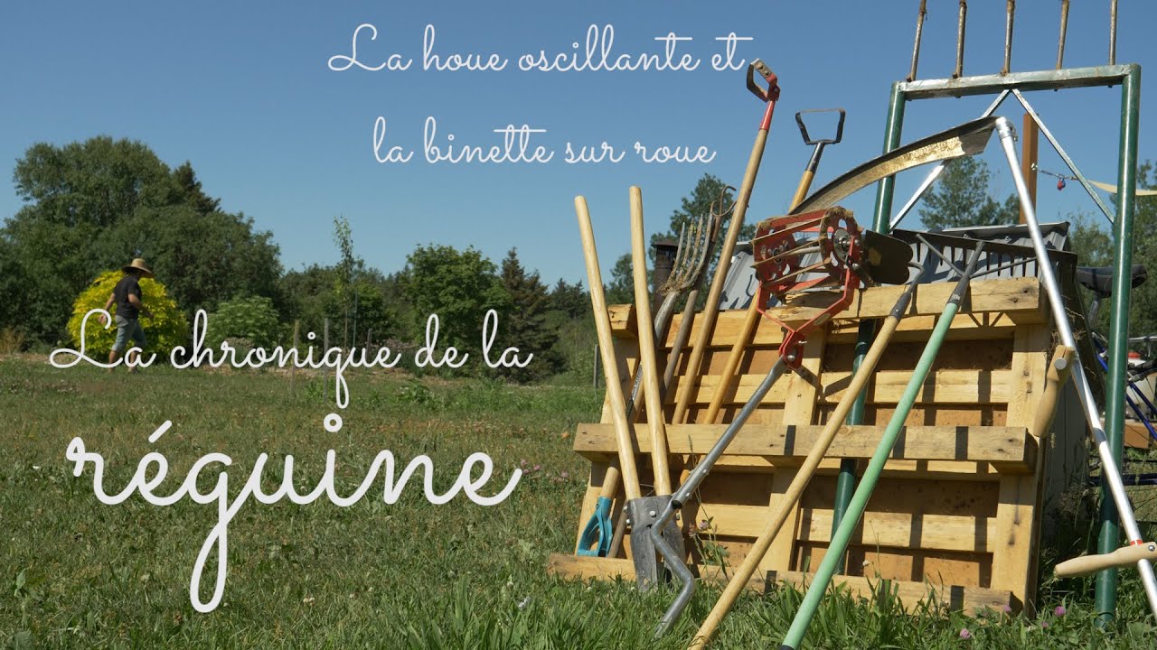 La chronique de la r&eacute;guine - La houe oscillante et la binette sur roue