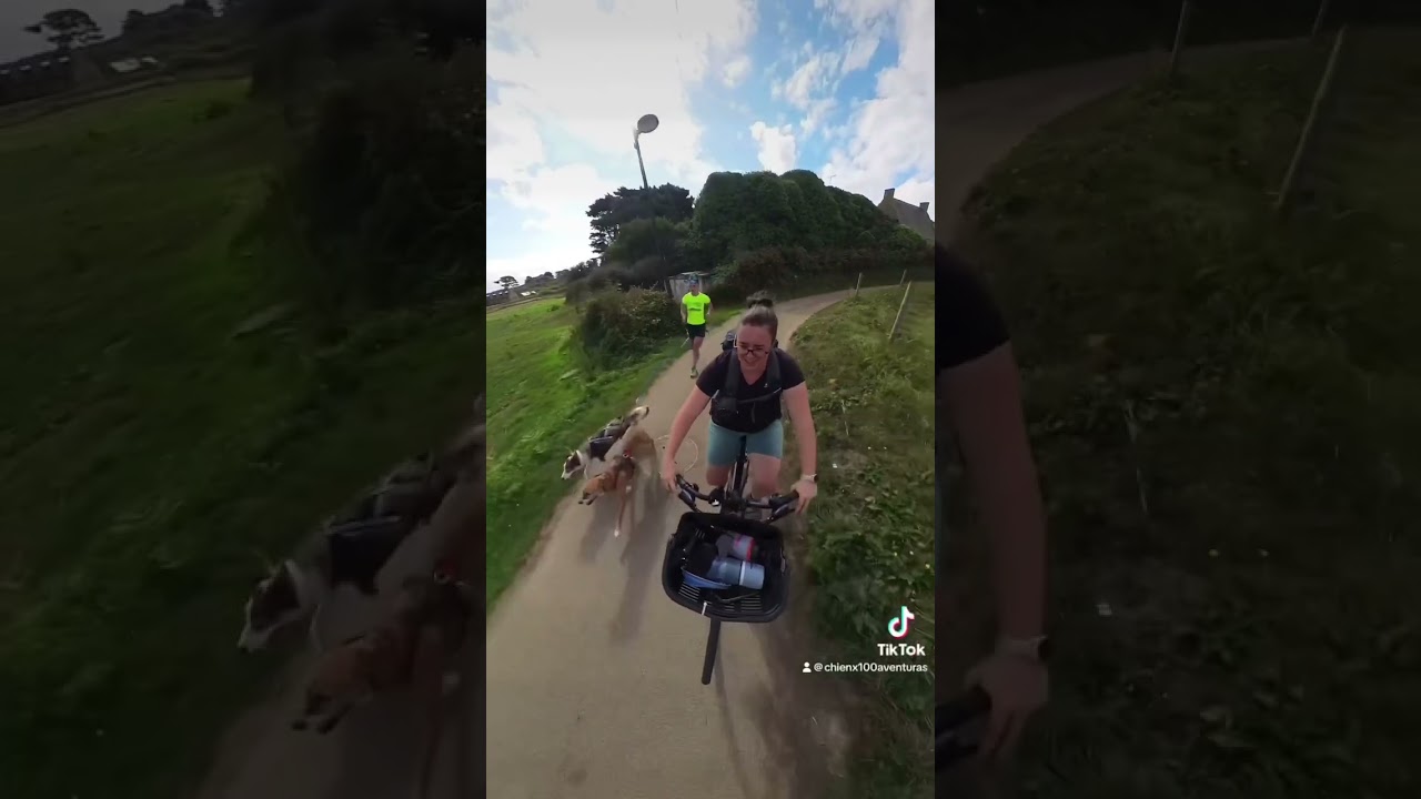 Let&rsquo;s GOOO! la &icirc;le-de-brehat en canicross🐶 12kms #iledebrehat #holiday #insta360 @insta360