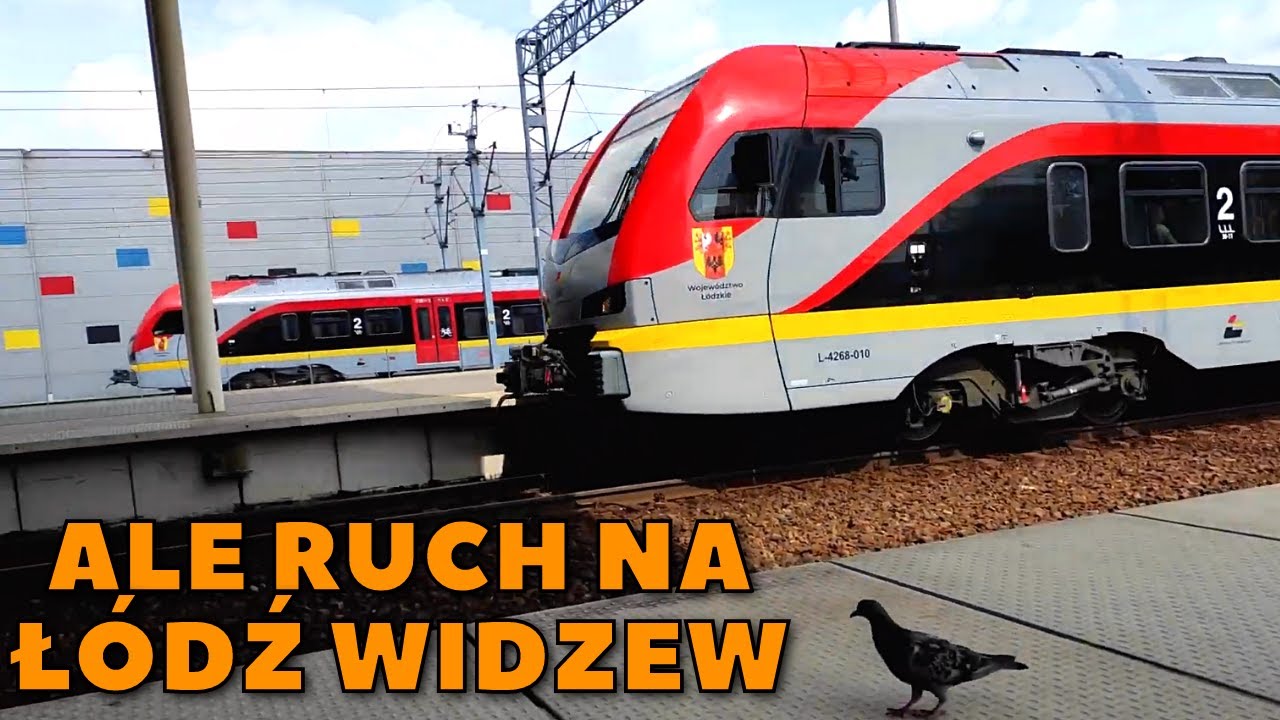 Sporo pociągów na dworcu Łódź Widzew