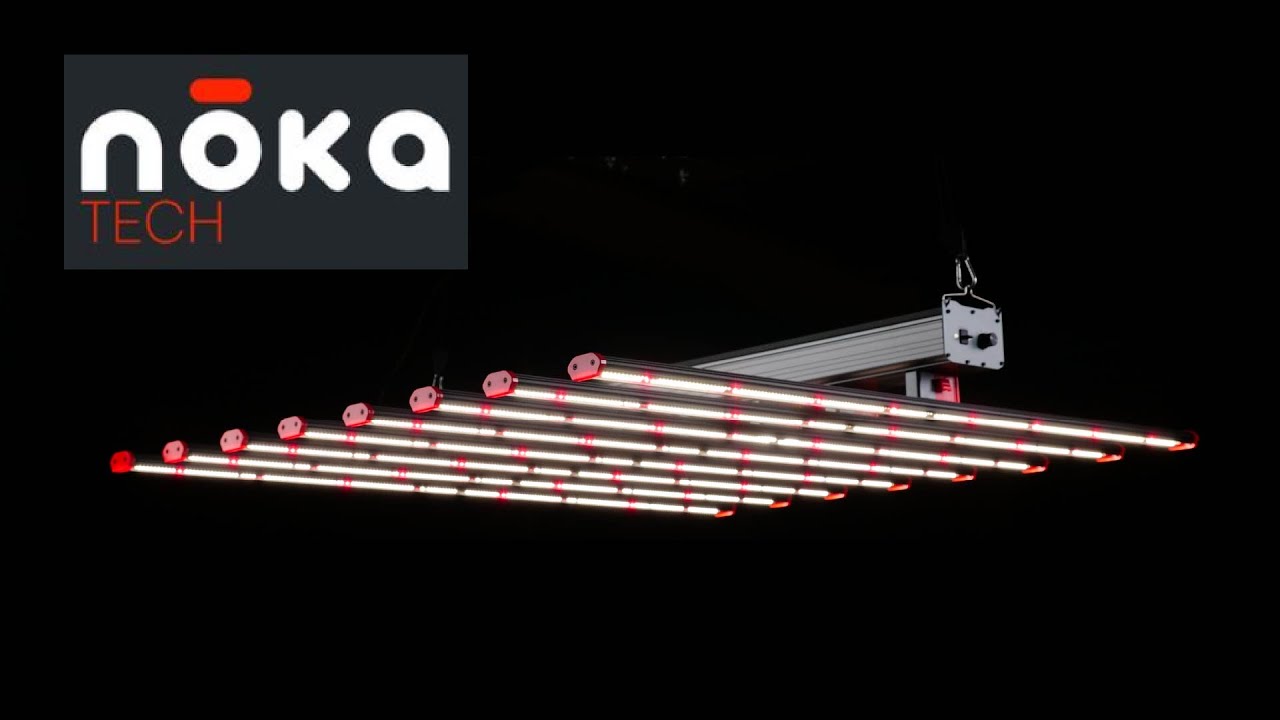 Nokatech FX Pro 1000 LED grow light PAR test and review