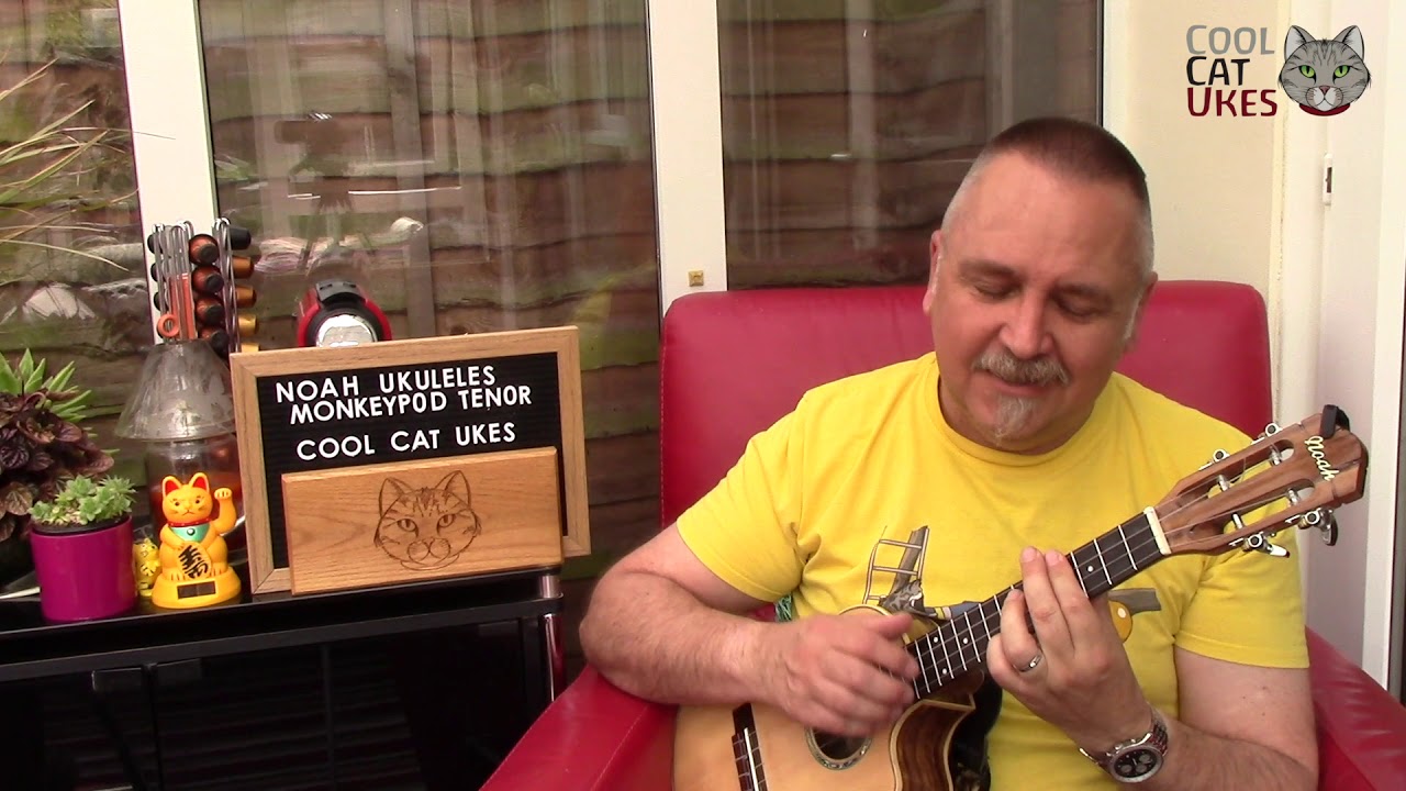 Noah Monkeypod Tenor ukulele review