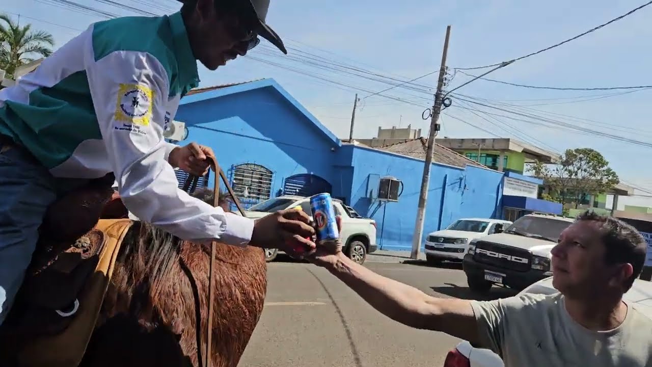 Desfile de equinos e touros