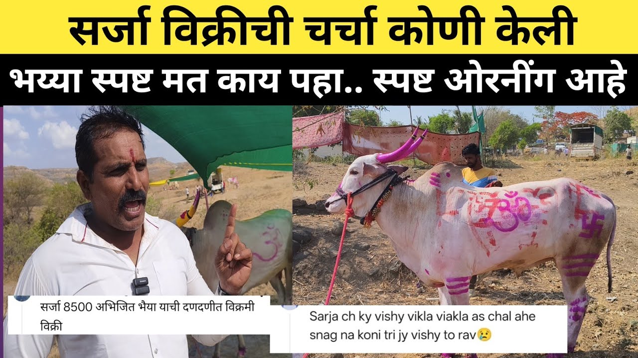 सर्जा विक्रीची चर्चा कोणी केली /भय्या स्पष्ट मत काय पहा 