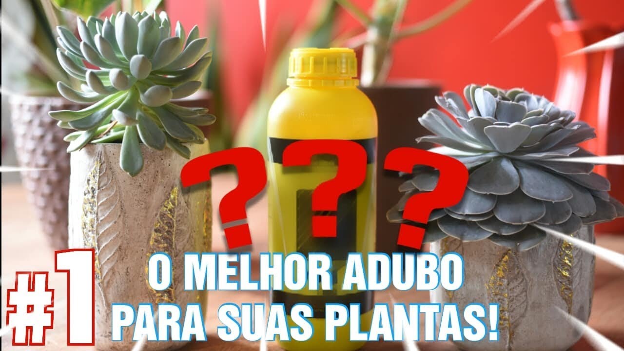 NPK ? Qual é o MELHOR ADUBO do mundo?