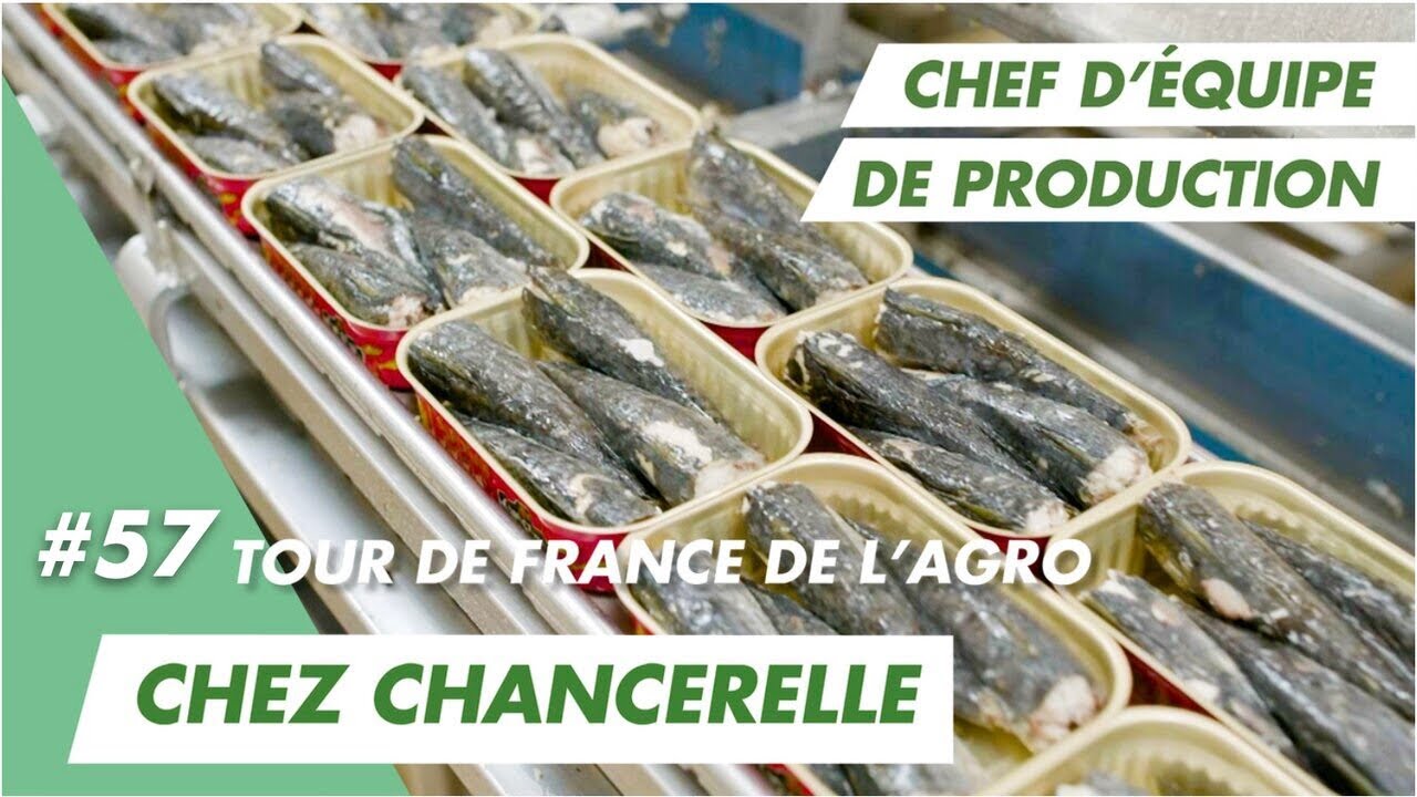 Chez Chancerelle à Douarnenez, je mets les sardines en boîtes et ma cheffe d'équipe Laetitia aussi