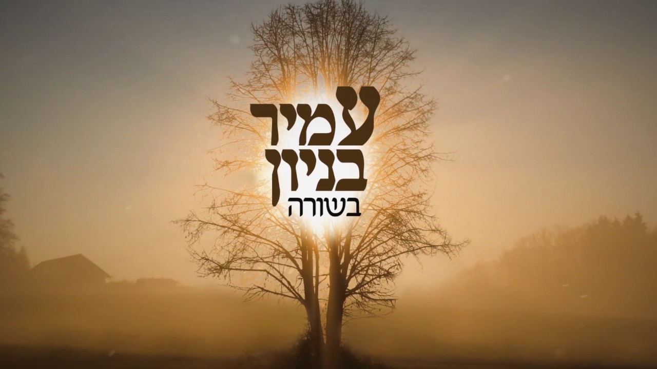 עמיר בניון - בשורה (קליפ רשמי) Amir Benayun