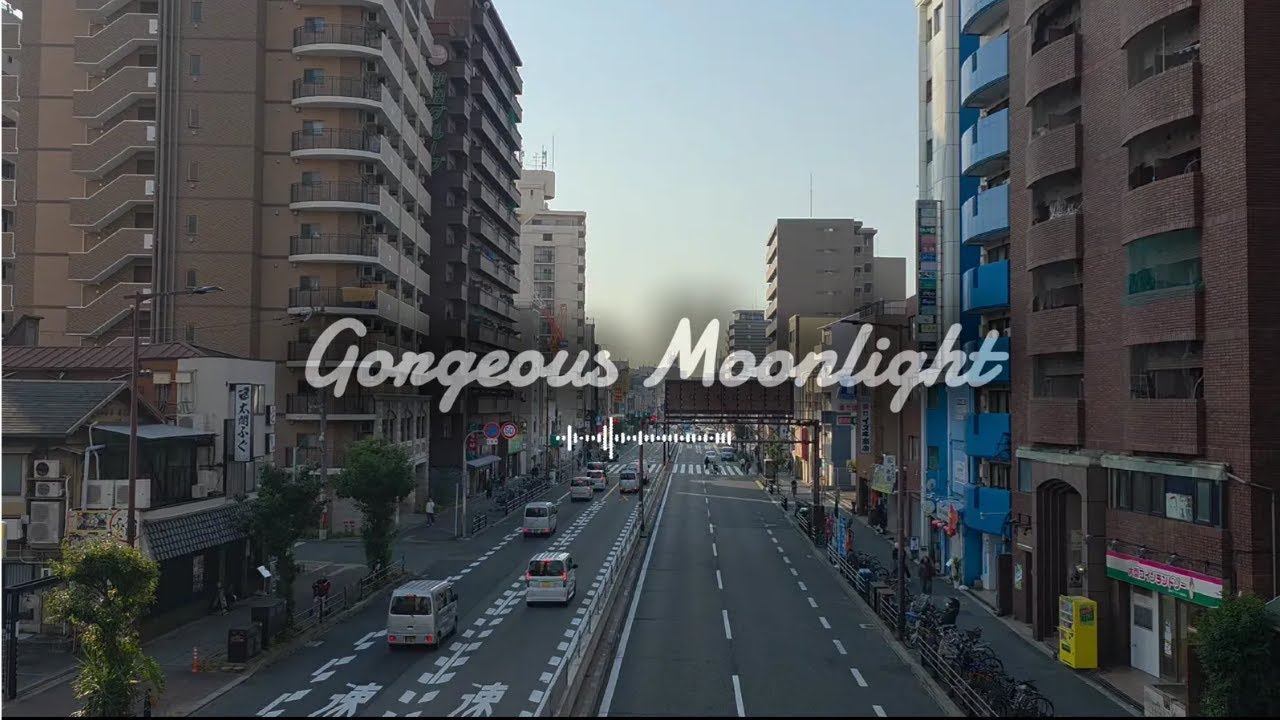 [Playlist 가사X]Lofi Instrumental Playlist | No Vocals