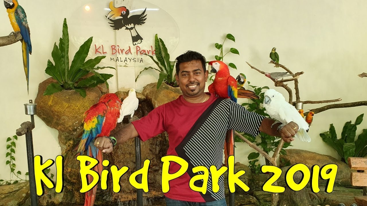 Kl Bird Park 2019- Kuala Lumpur, Malaysia