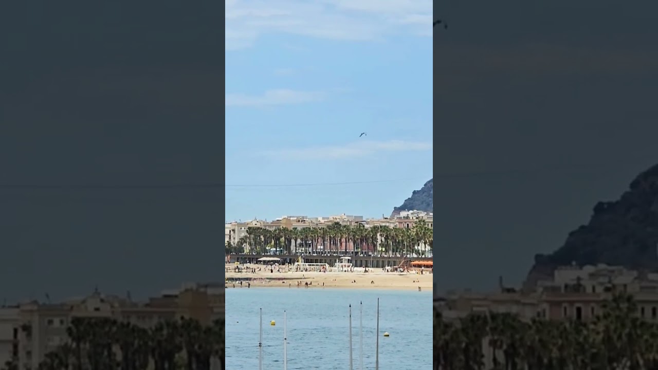 #alaplaya #barcelonaspain #highlights #beach #shortsvideo
