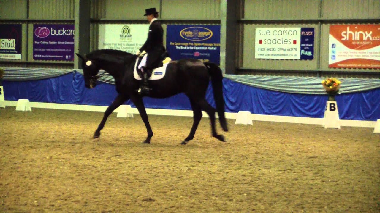 Emily Harris & Don Diabolo - Vale View High Profile Show 2014 - Grand Prix