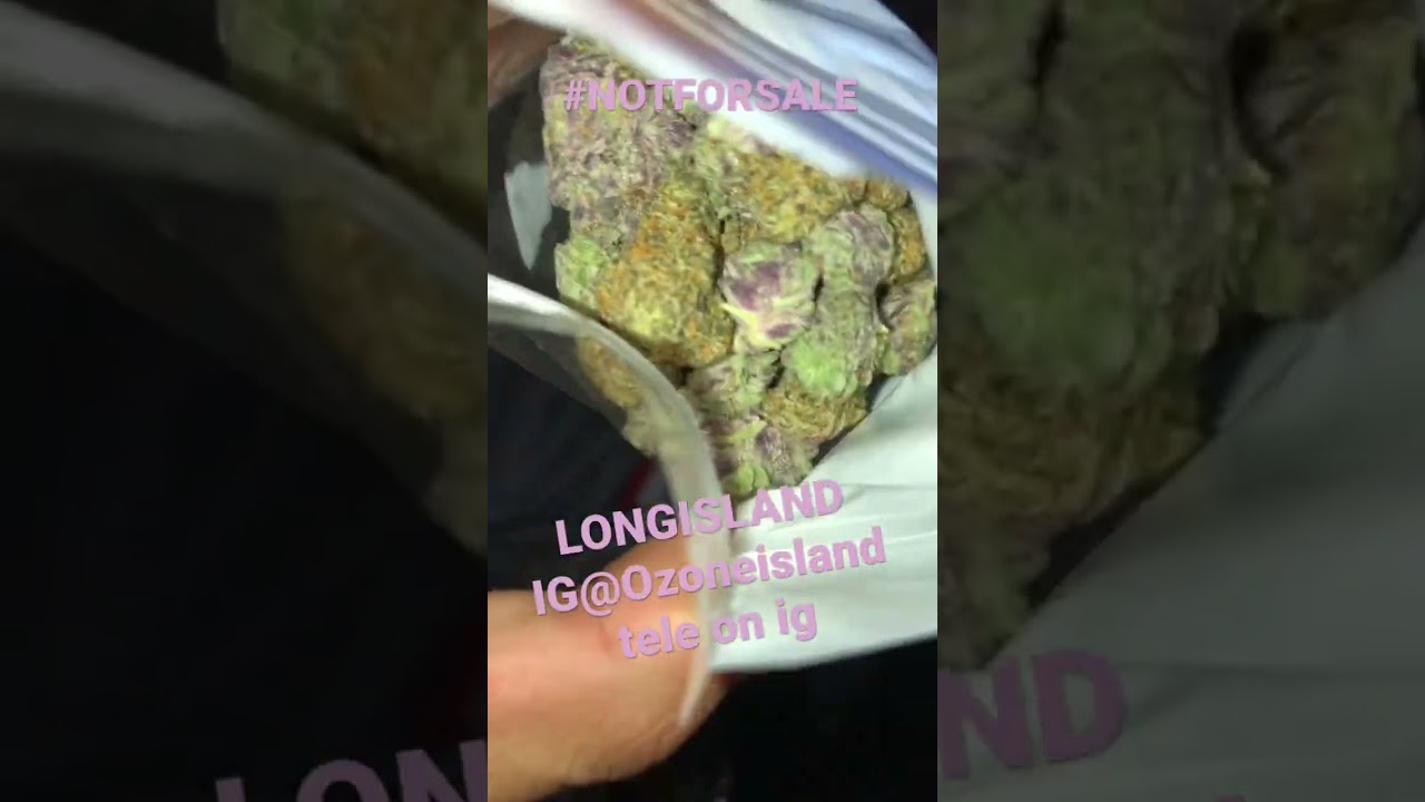 NEWYORK👀🌴💨#trending #longisland #nyc #nydrill #smoke #zaza #gas #weed #indica