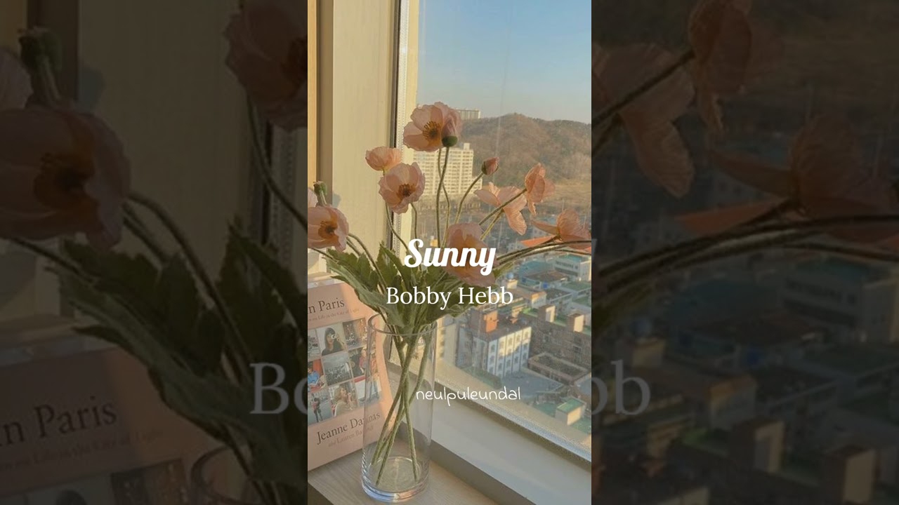 Sunny(1966) - Bobby Hebb