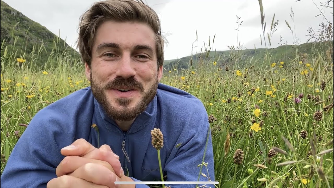 National Meadows Day 2021 | Leif Bersweden