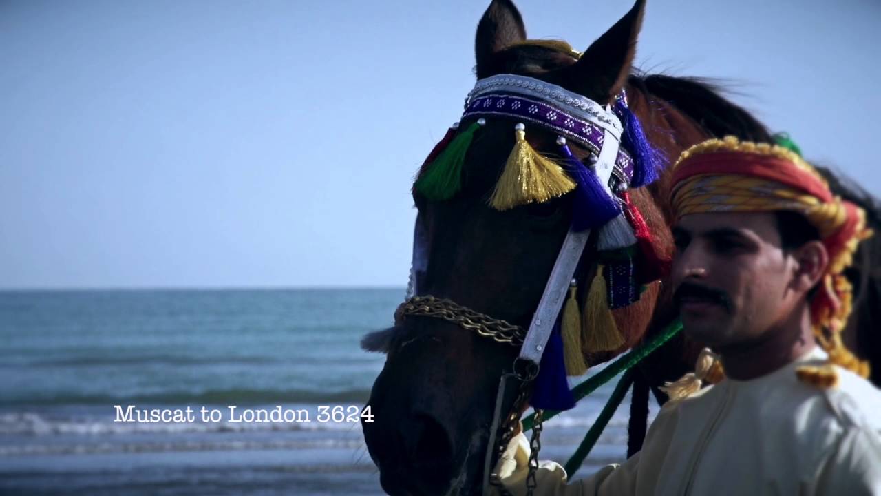 The Royal Cavalry of the Sultanate of Oman 2016