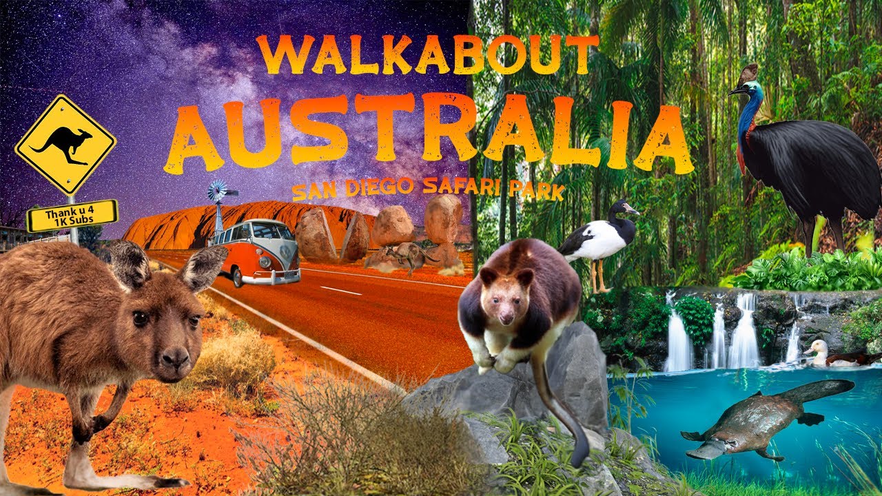 Walkabout Australia at the San Diego Zoo Safari Park