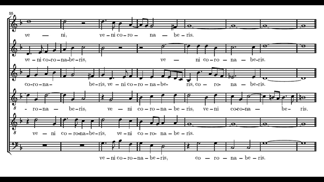 Guerrero: Tota pulchra es Maria - Musica Ficta