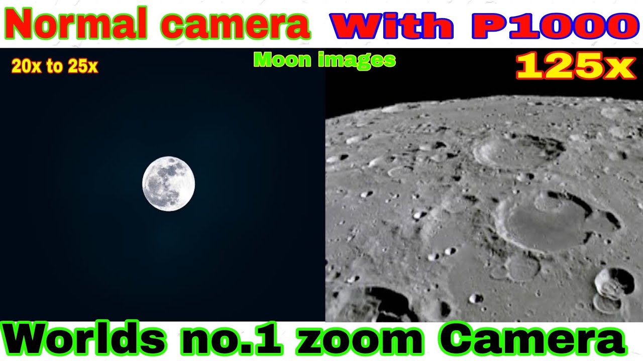 Nikon P1000 first look, and zoom test