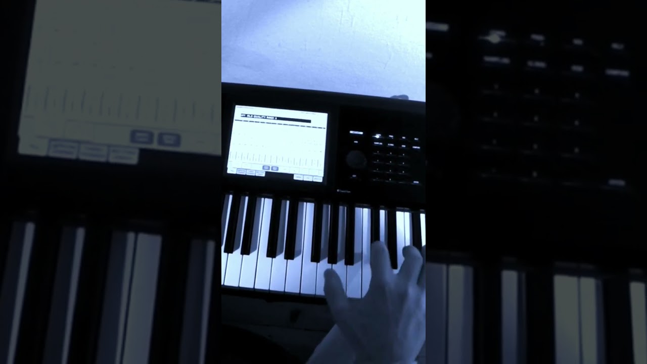KORG KRONOS 2 - Please don't Touch