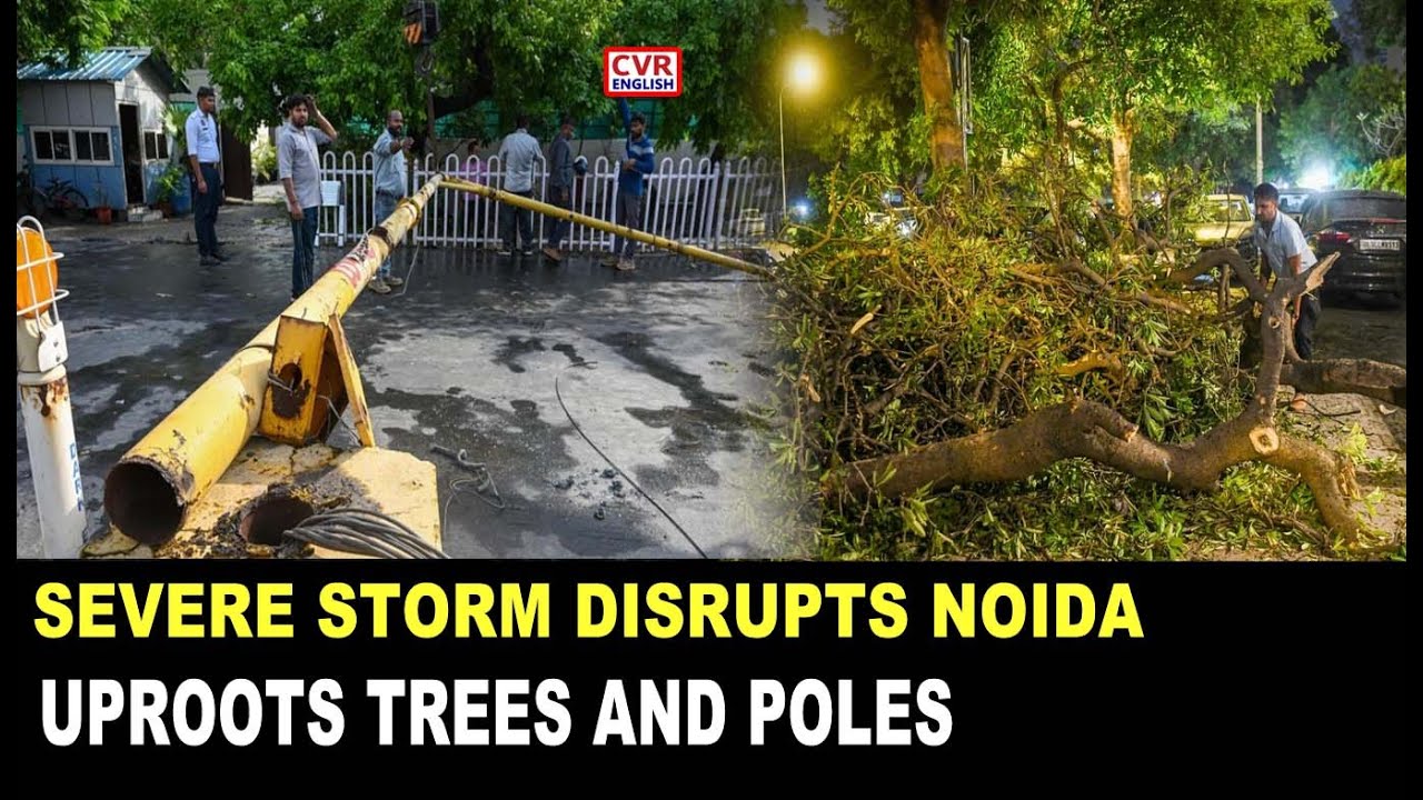 severe storm hits noida, uproots trees and electric poles, disrupts expressway |CVR English
