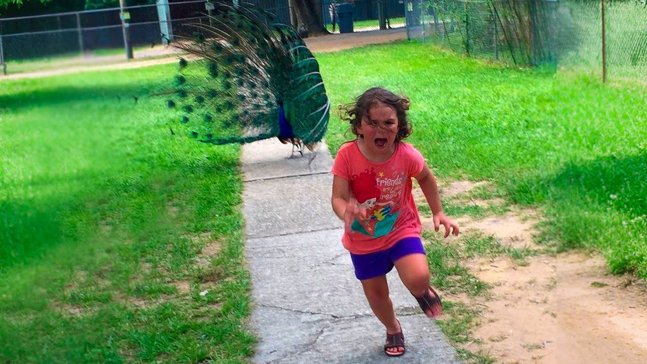 Funniest Summer Wipeouts - Best Viral Fails of the Month