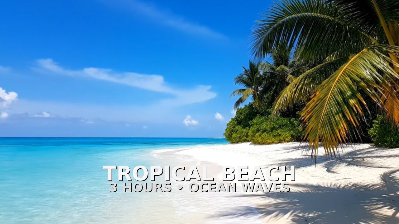 3 Hours of Tropical Beach Waves 🌊 Light Wind & Ocean Sounds | Relaxing Ambience (4K)
