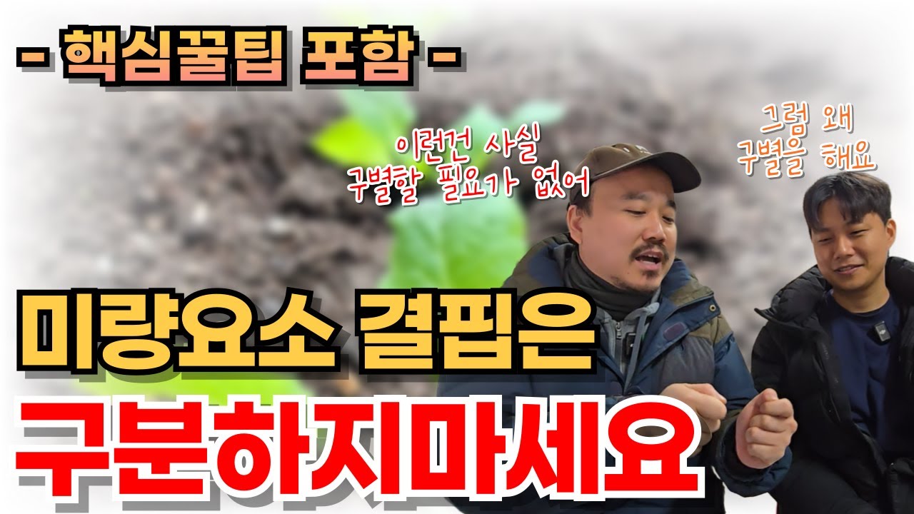 미량요소 결핍증상은 구분 할 필요 없습니다 | 철, 아연, 망간, 구리, 몰리브덴 결핍 | 비료전문가가 알려주는 양분결핍 확인하는 방법 4편