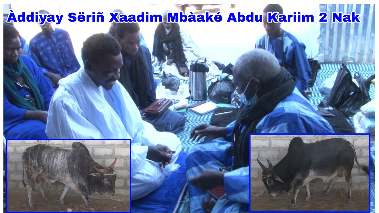Sëriñ Xaadim Mbàaké Moom Sëriñ Abdul Kariim Moo Doon Indi Àddiyam Ci Seex Mustafaa Faal Fàlilu 2i...