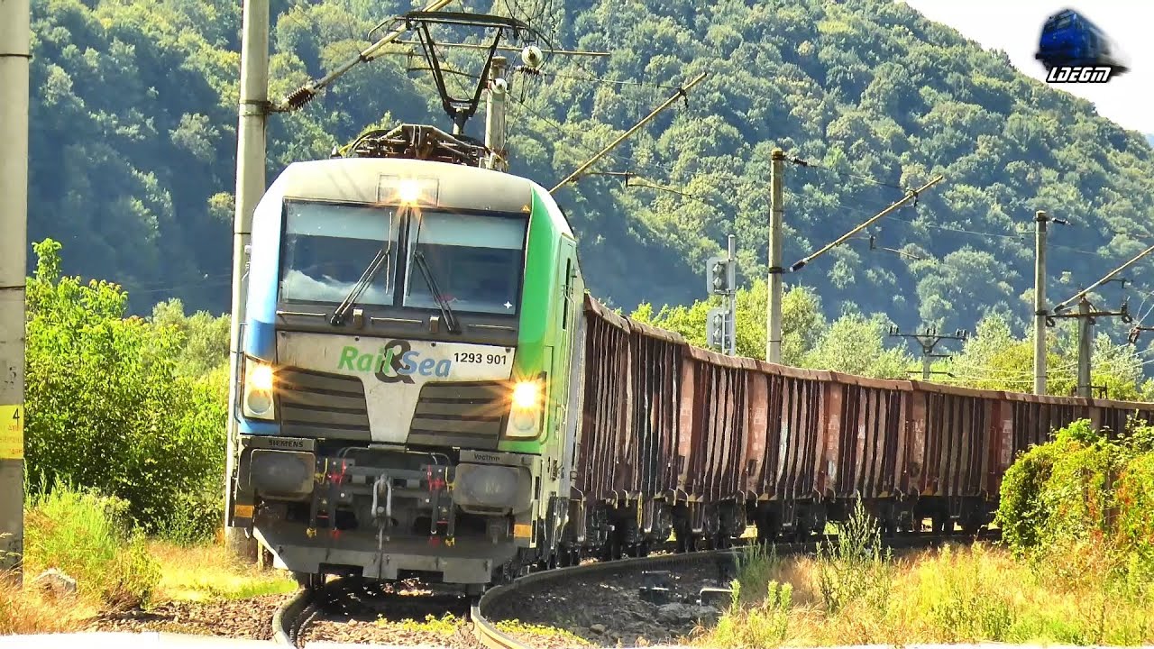 Două Trenuri de Marfă &icirc;n Gara Năsaud - 08 August 2024
