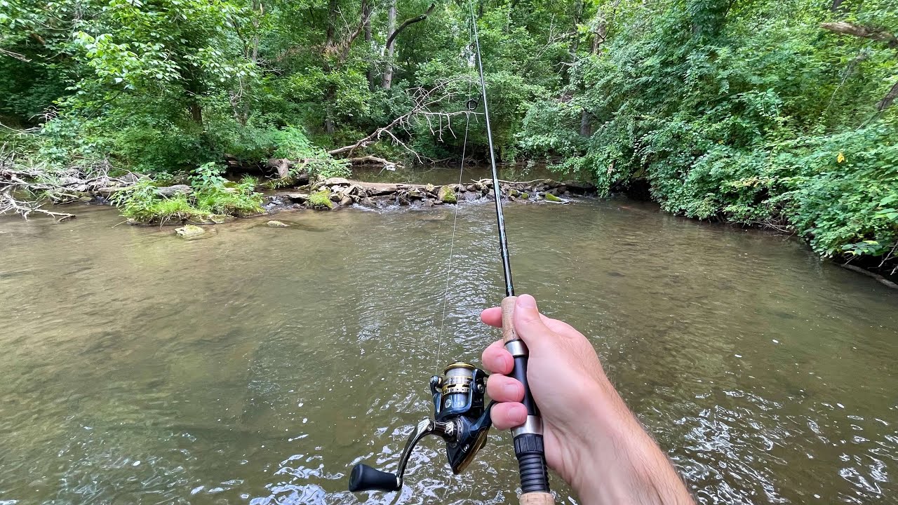 Small Creek TROUT Fishing with Spinners (Rainbow & Brown)