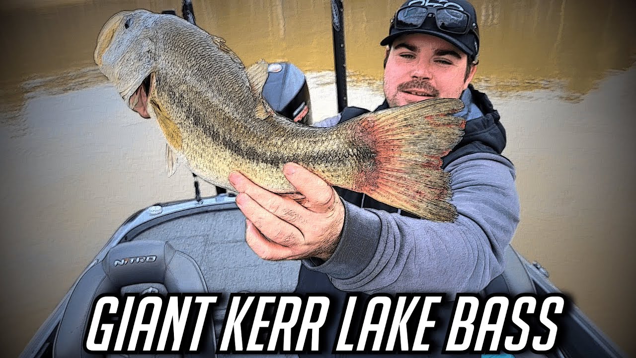 Shallow Winter Kerr Lake Bassin' (Buggs Island)
