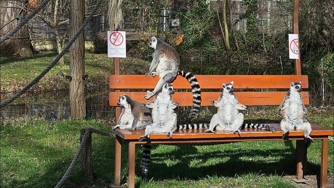 Kifutón túl 22. rész 2024. március