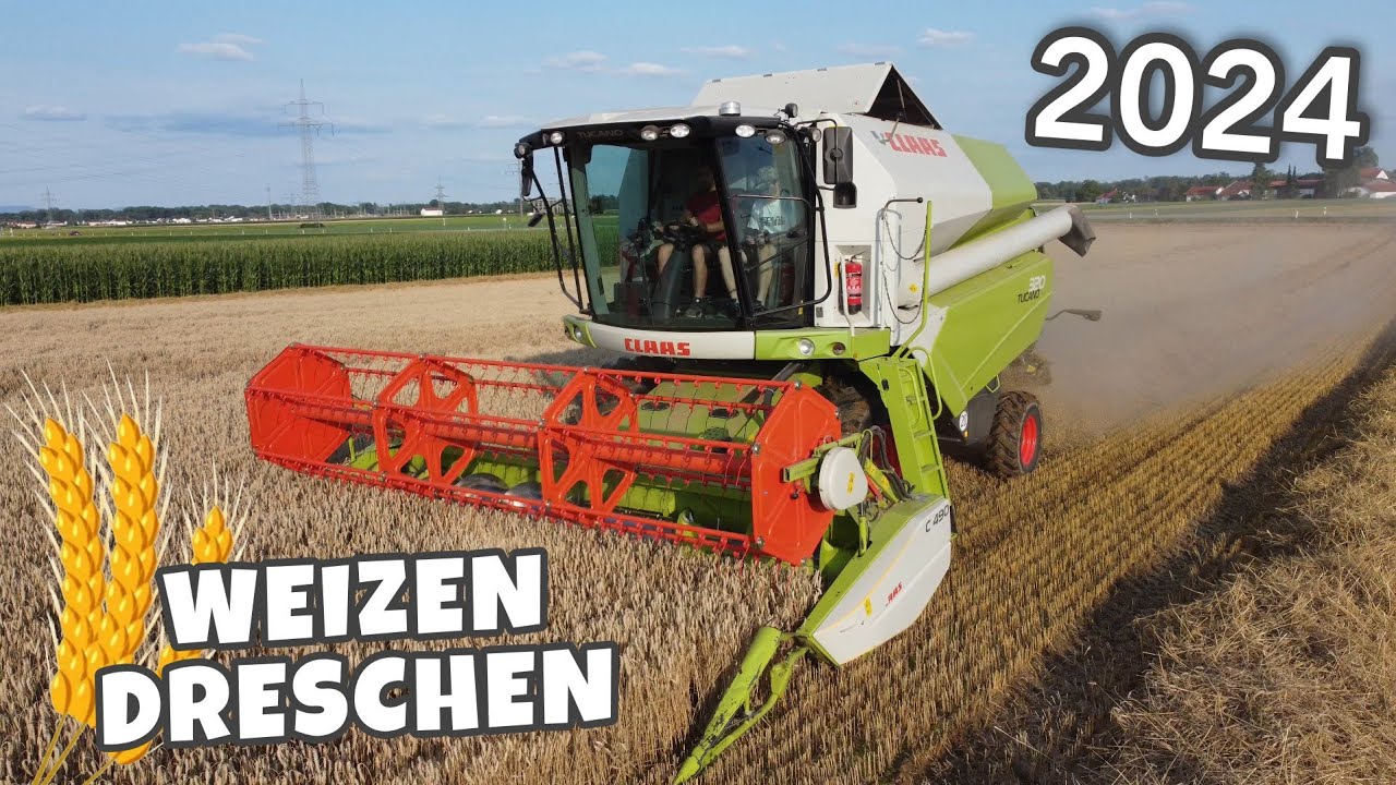 Weizen dreschen 2024 👨‍🌾🚜 mit Claas Tucano 320 | Landwirtschaft Niederbayern
