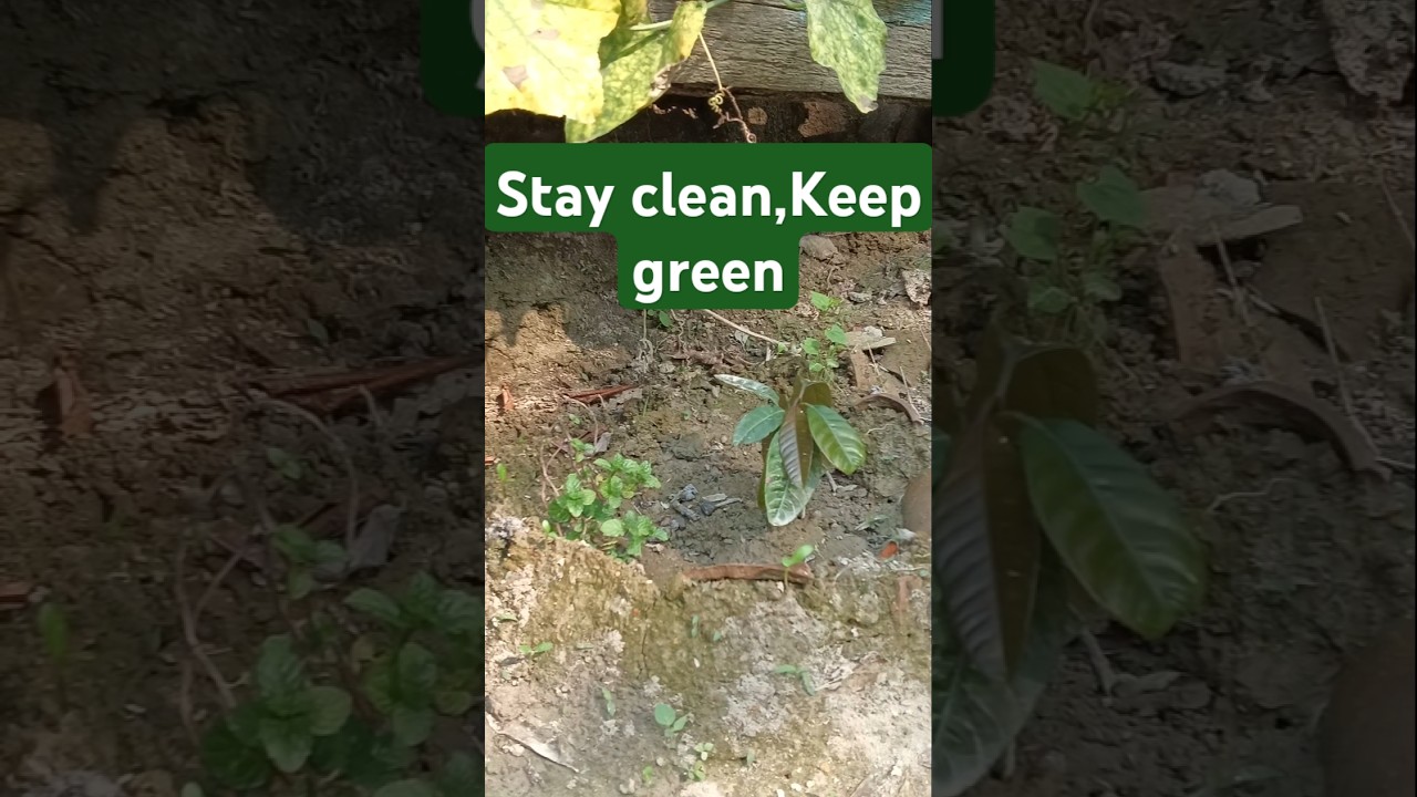 Take one step for greener future. 