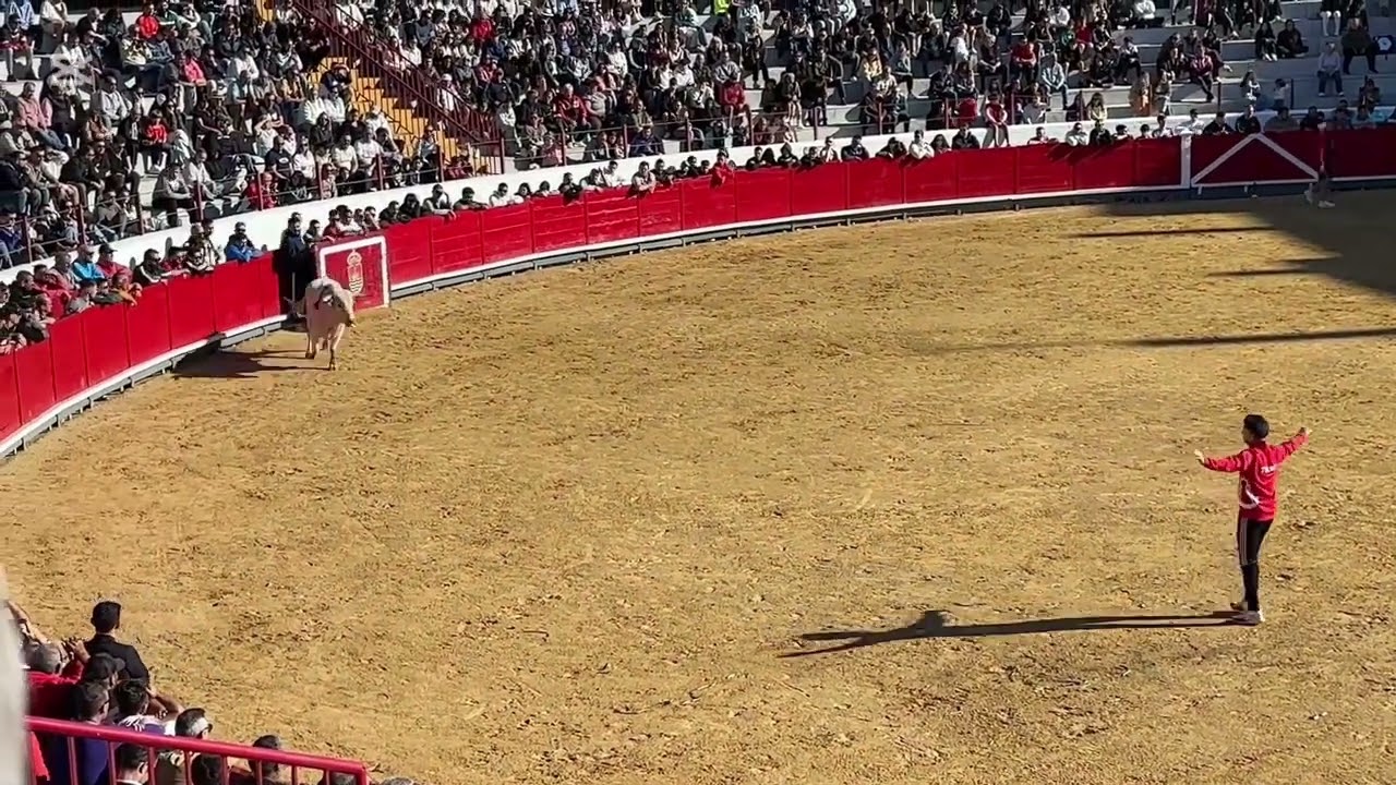 Vacanță Spania Oct 2025 ultimul ep.