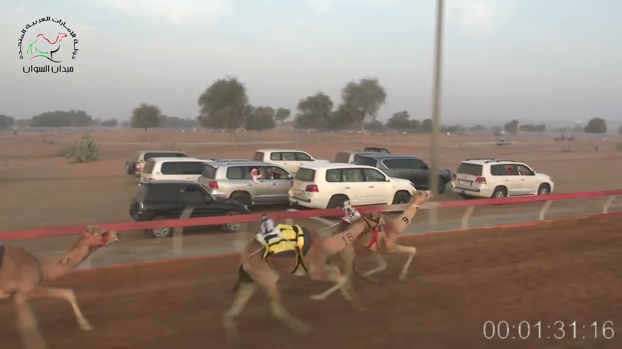 الشوط -8- شاهين- للسيد / عبدالله سيف مصبح الكيبالي- R8 -01/03/2026 – 02:13:16
