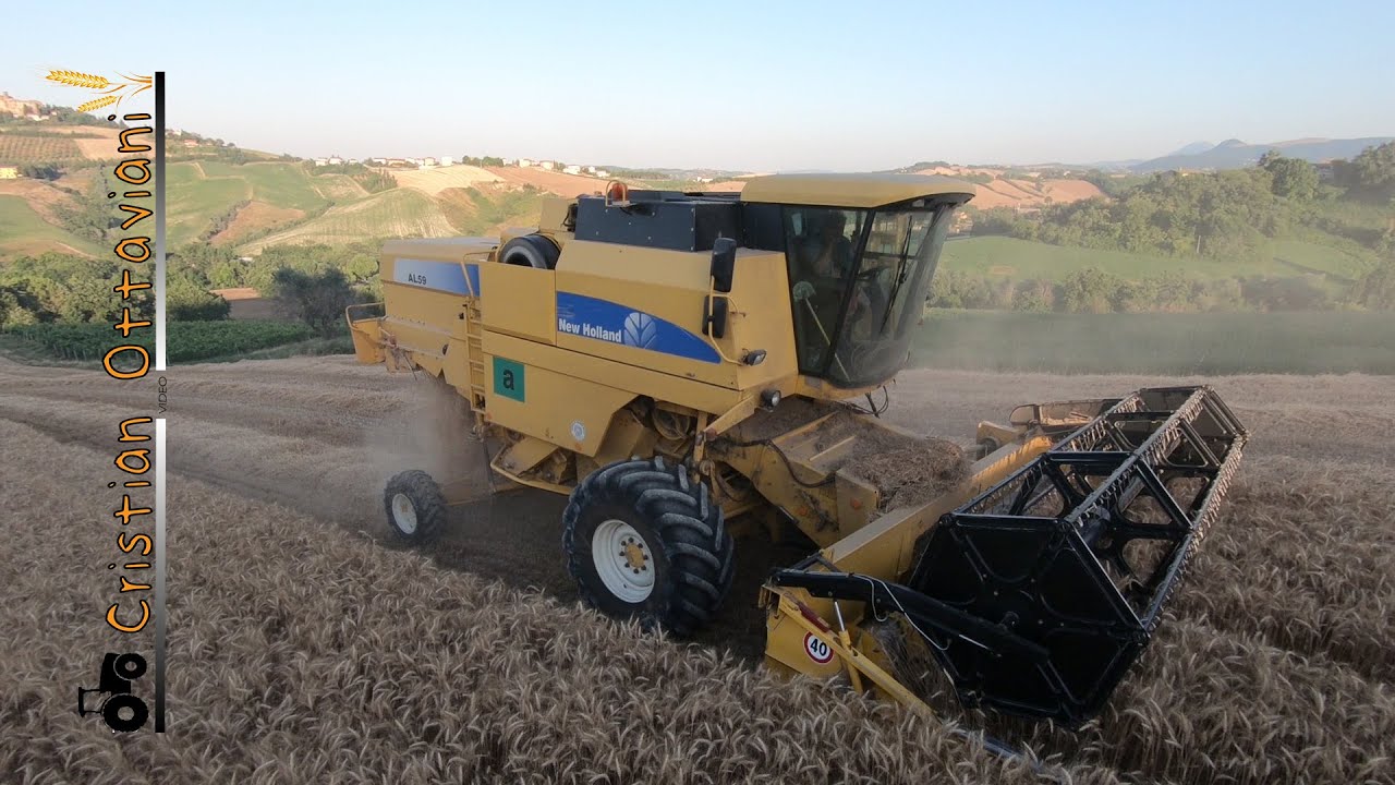 New Holland 59 AL | Trebbiatura Frumento Tenero 2019 | Giuseppe Romiti