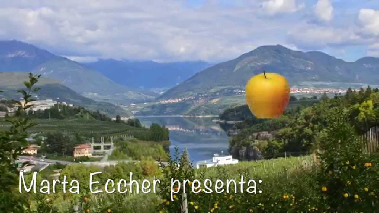 Raccolta delle Mele - Val di Non | Trentino