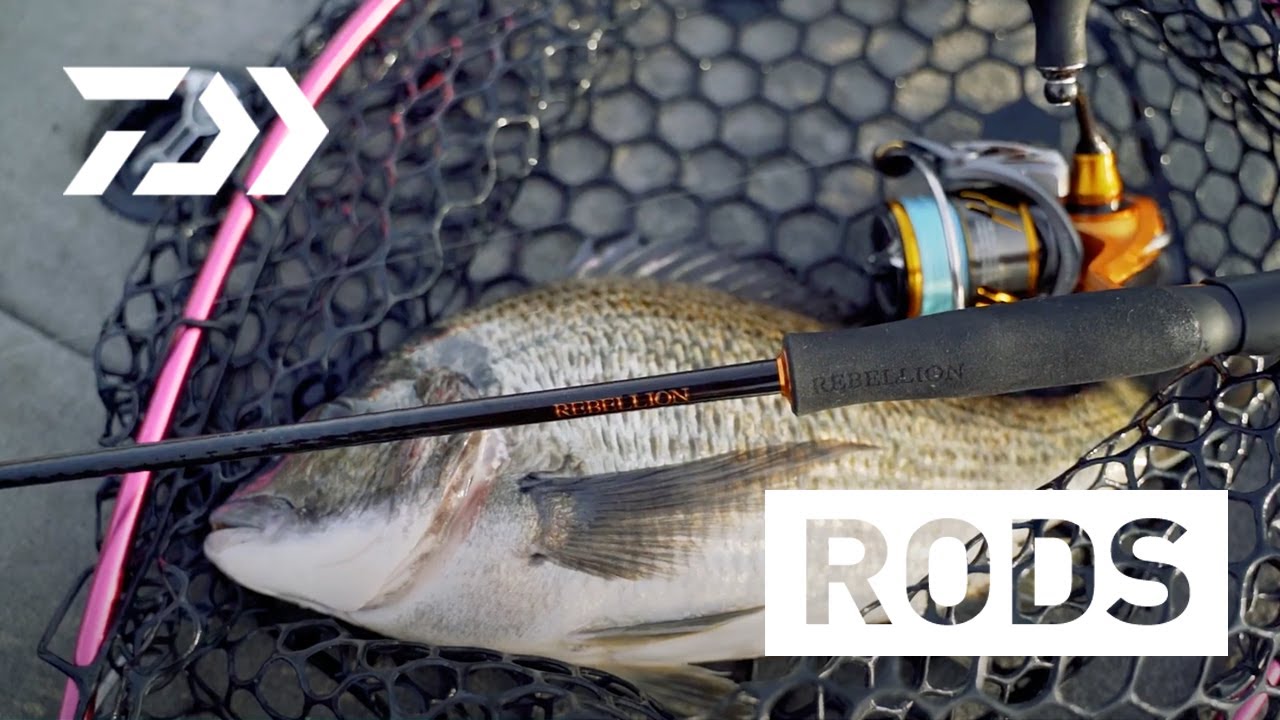 20 REBELLION RODS