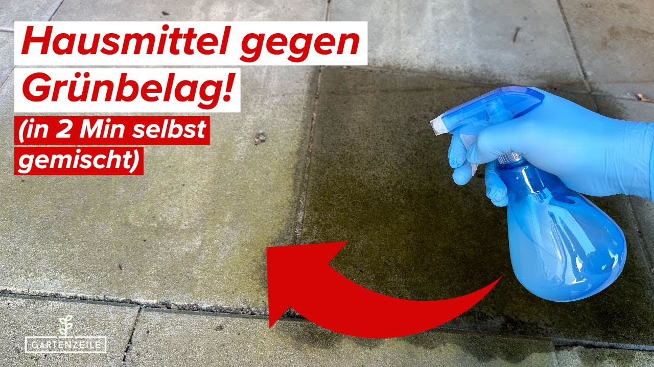 Grünbelag mit Hausmittel entfernen - EINFACH und GÜNSTIG!