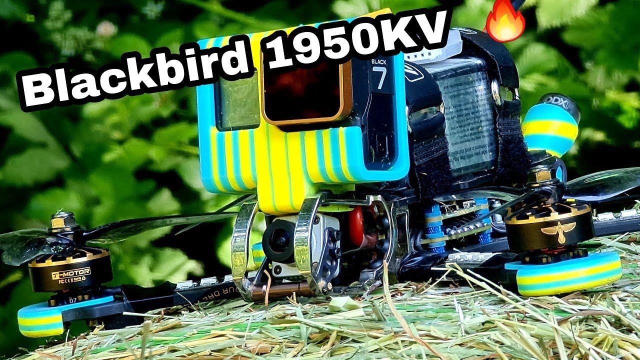 T Motor Blackbird V2