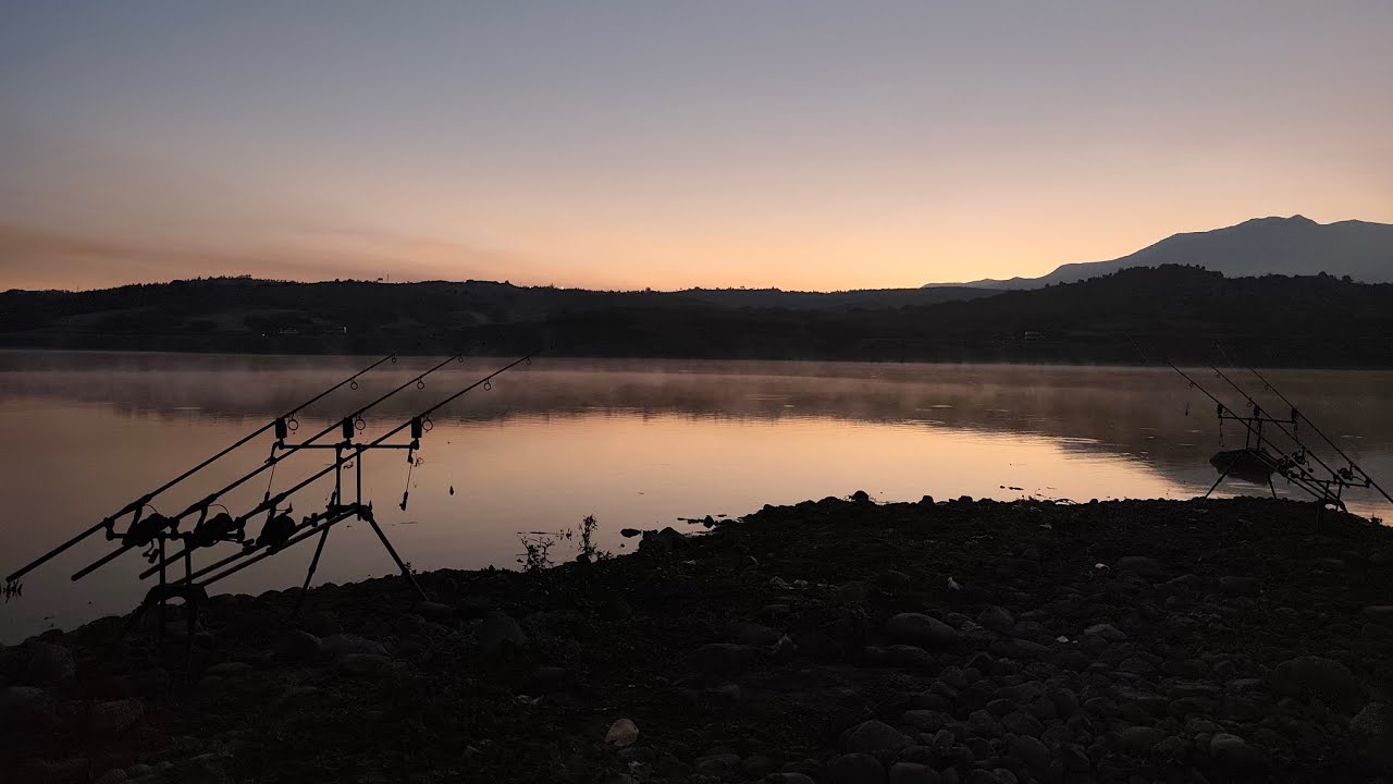 SAZANLAR KAHVALTI YAPTIRMADI !!! 🐟 #sazanavı #carpfishing #carp #mirrorcarp 