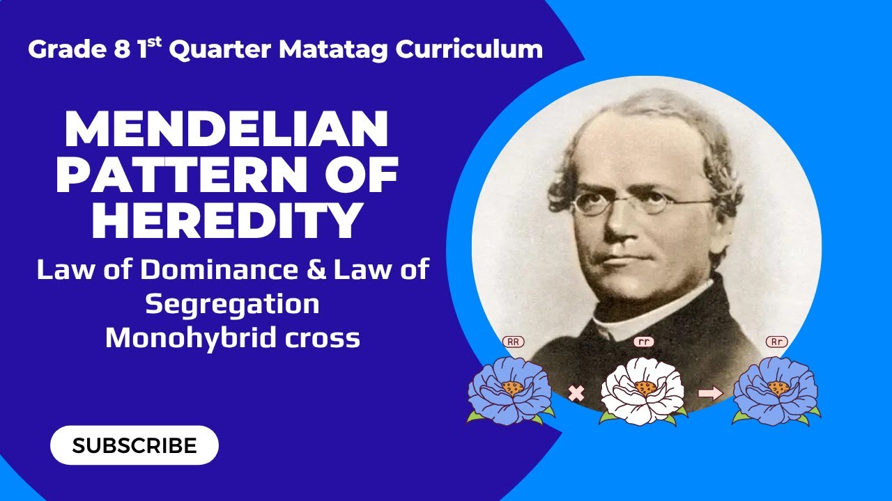 Monohybrid Cross| Law of Dominance| Law of Segregation| Gr 8 1st Quarter Matatag Curriculum Tagalog
