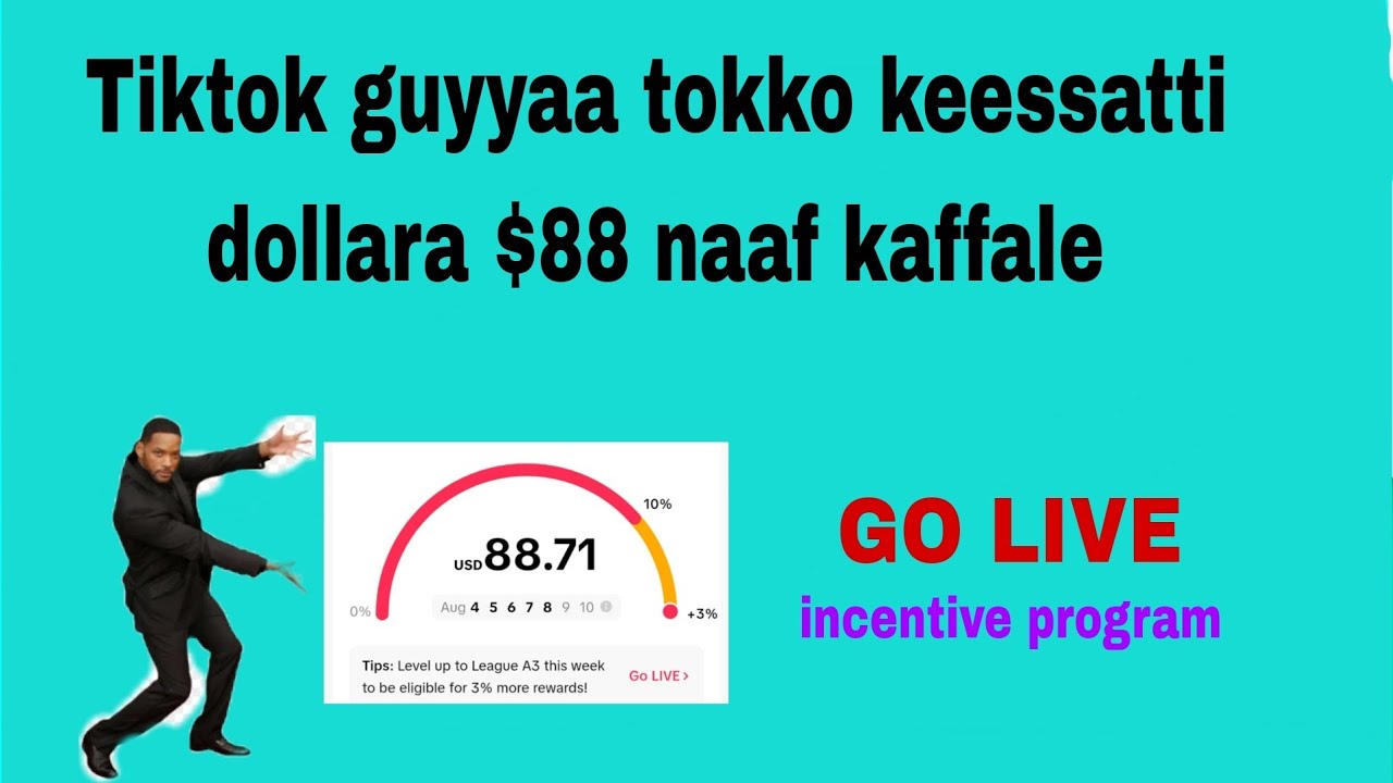 Tiktok torbee kana keessa maallaqa kaffalaa jira kunoo ilaalaa  How to make money on tiktok