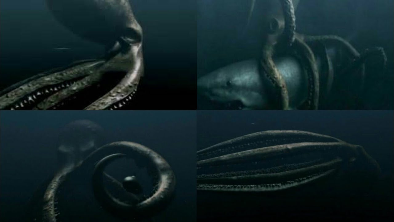 Mega Shark Versus Giant Octopus [2009] - Giant Octopus / Colossus Octopus Screen Time