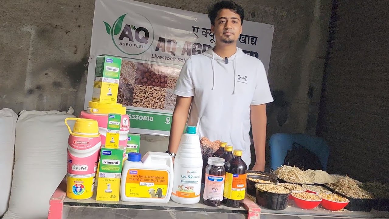 Panvel New Mumbai Ki Khudki Goat & Cattle Feed Shop | Wholesale Rates Main Feed At AQ Agro Feed.