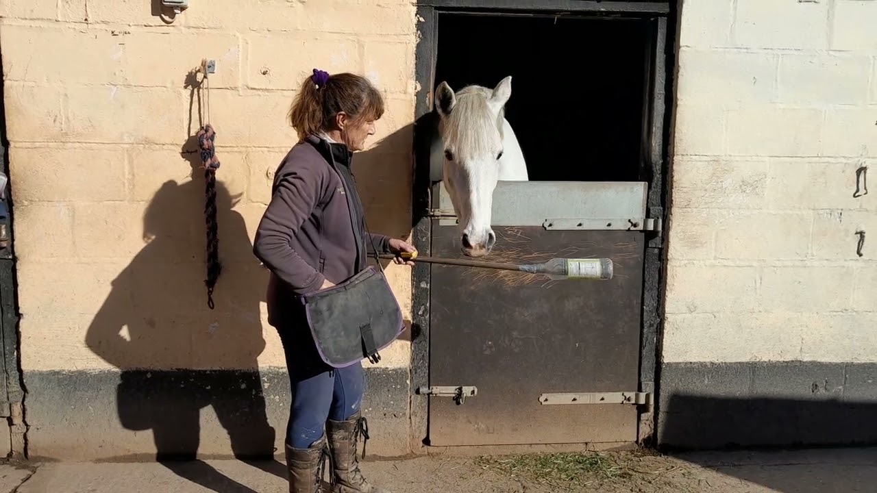 Instinctive Horse Training