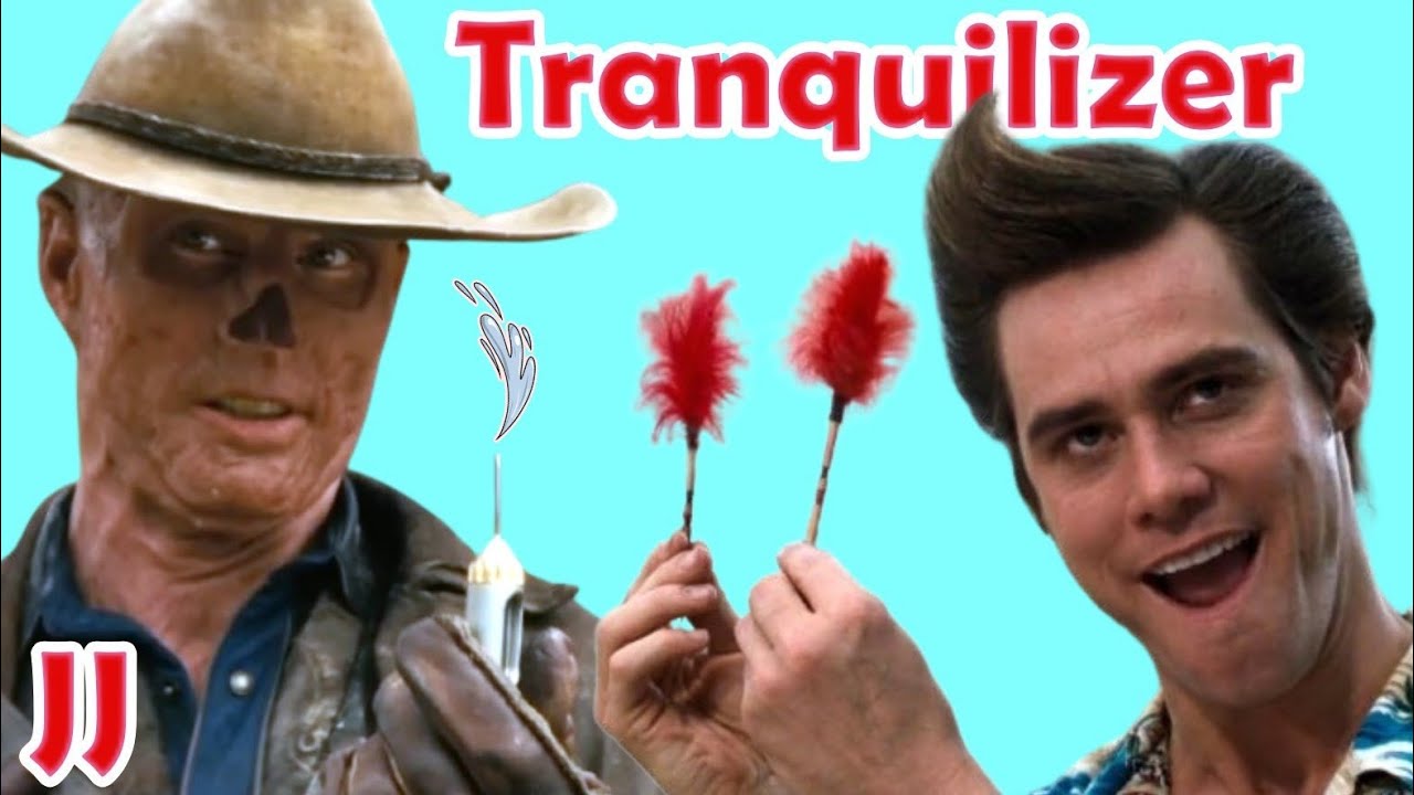 Tranquilizer Guns and Darts