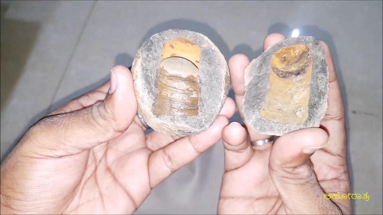 Saligrama Sivalinga