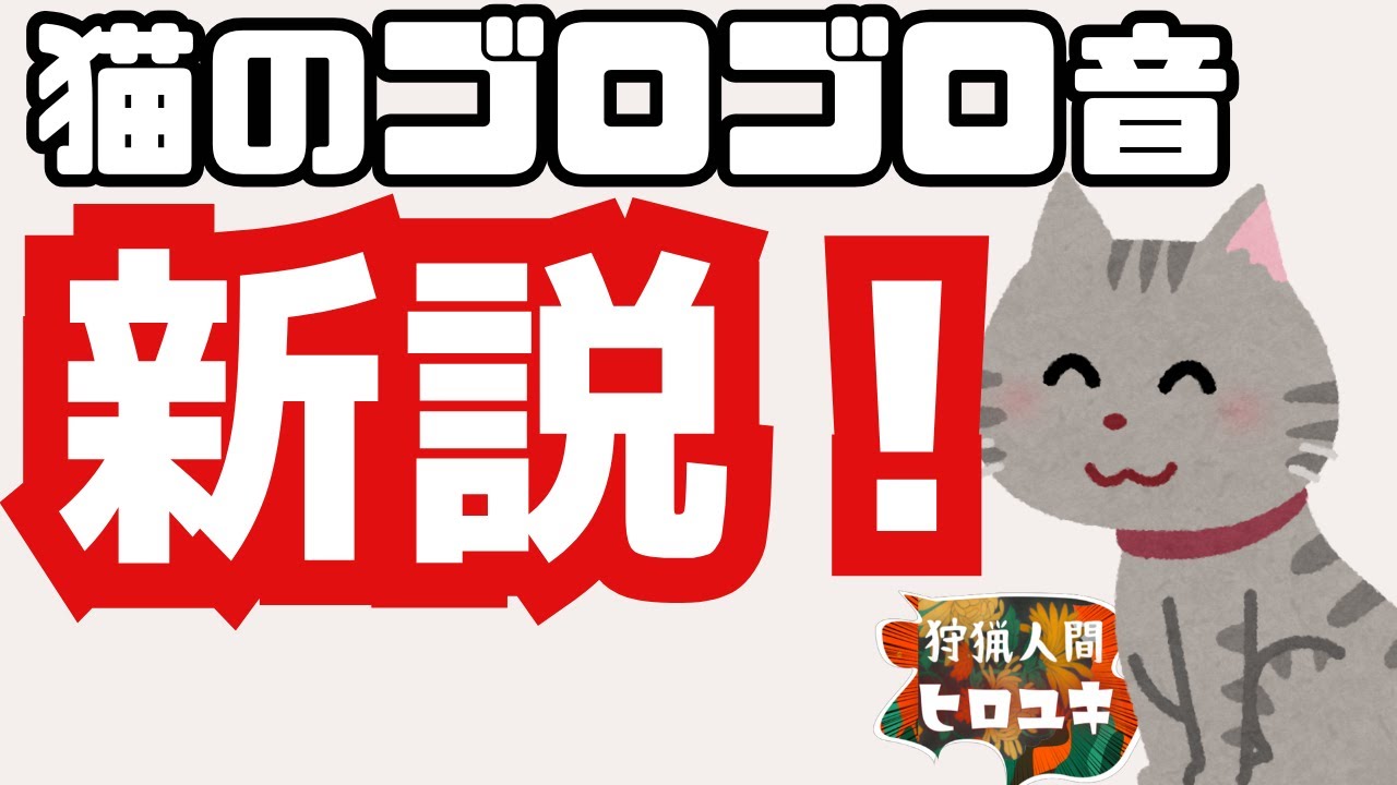 猫のゴロゴロ音の新説/ゴロゴロ再現できるようになった【狩猟人間ヒロユキｗ/NotebookLM】