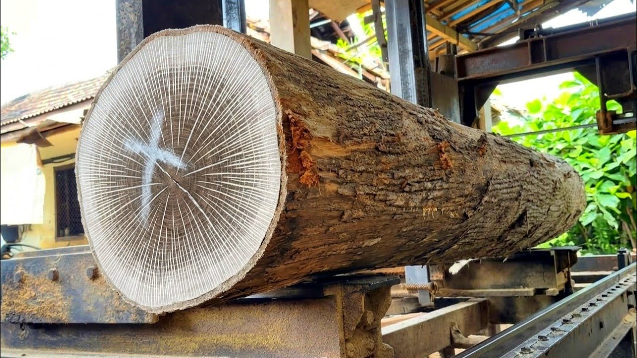 This is the rarest wood in the world. The outer grain is white but the inside has different grain.